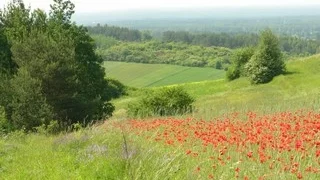 Park Krajobrazowy Wzniesień Łódzkich - film edukacyjny