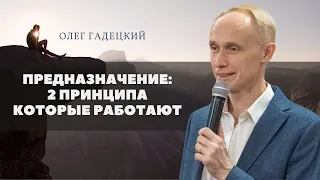 Как найти свое предназначение. Предназначение: 2 принципа которые работают. Олег Гадецкий