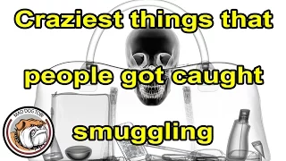 You won't believe what people got caught smuggling!