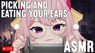 🔴 [ASMR] Catgirl picking and eating you ears for BEST RELAX!❤️🐱(3Dio)
