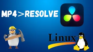 DaVinci Resolve не видит видео файлы, не добавляет,mp4 Linux
