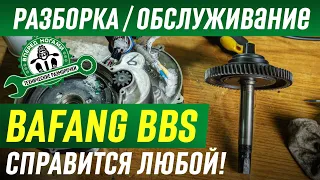 Разборка/обслуживание кареточного BAFANG BBS (BBS02) Справится каждый!