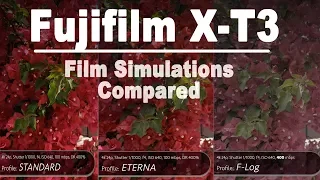 Fujifilm X-T3: EVERY Film Simulation Compared + My favorite pick for video