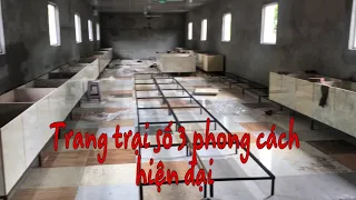 Trang trại nuôi dúi số 3 thiết kế siêu đẹp chống thời tiết khắc nghiệt hiện đại nhất | Chuột Tre 360