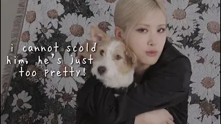 rosé and hank cute moments together