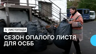 Сезон опалого листя. Чому за його вивіз ОСББ мають платити