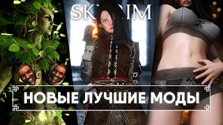 Skyrim Новые Лучшие Моды 🅒 Скайрим Топ Моды 2023 #16 [4K]