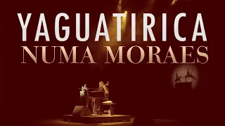 Numa Moraes - Yaguatirica
