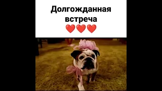 Встреча после разлуки 🤗