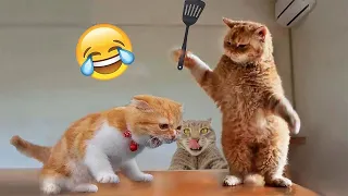 Best Funny Animal Videos 2023 🥰   Funniest Dogs And Cats Videos 😅 #18