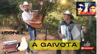 A GAIVOTA-LÉO CANHOTO & ROBERTINHO