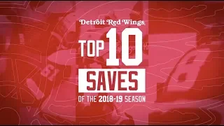 Detroit Red Wings Best of 2018-19 | Saves