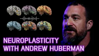 What is Neuroplasticity? Professor Andrew Huberman explains