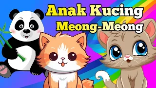 Anak kucing meong meong - Lagu Anak Anak - Lagu Anak Indonesia Populer // ACACA KIDS