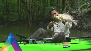 JEJAK PETUALANG  - SI HITAM PENGHUNI PERAIRAN BAKAU (23/3/16) 3-3