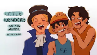 Little Wonders - One Piece ASL Animatic