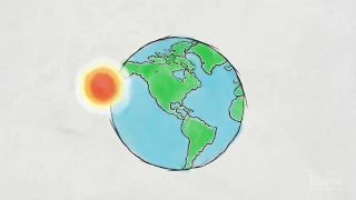 Photosynthesis: Part 1: Overview | HHMI BioInteractive Video