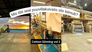 Vlog 50 - TÖÖ AUSTRAALIA COTTON GINNIS/PUUVILLADŽINNIS