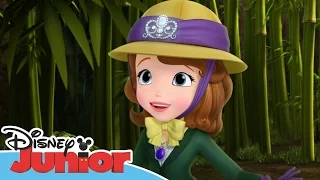 Singalong with Sofia & Friends: Sofia the First - Stronger Than You Know