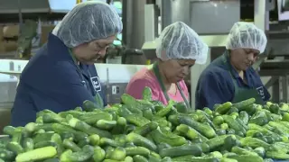 Hamilton: Best Maid Pickles Made in North Texas