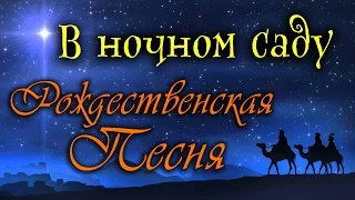 Песня🎶В ночном саду✨Рождество Христово🎵Фонограмма #voskrecka