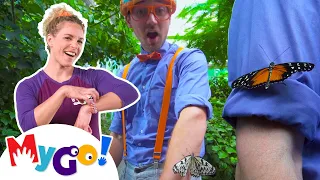 Blippi Visits the Pacific Science Center | Blippi | MyGo! Sign Language For Kids | ASL