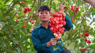 Harvest red whip, Going to the market to sell on a rainy day, Taking care of pets