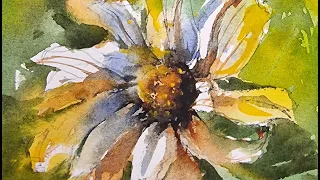 Cone Flowers in Watercolour