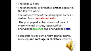 Embryology Head and neck Part 1