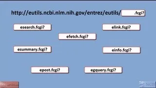 E-Utilities Introduction