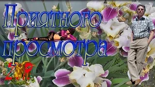 ВСЕ для ТЕБЯ - СУПЕР ХИТ ХОРОШЕГО НАСТРОЕНИЯ