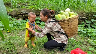 Single mother: Harvesting a giant melon garden to sell - giving her children a bath