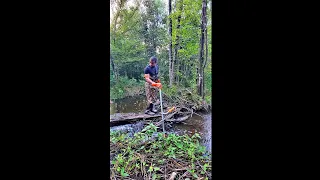 BEAVER DAM REMOVAL IN ONE MINUTE! The New One! #shorts