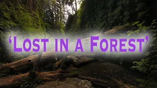 A Forest - (2022 Remix) The Cure - Lyric Video - ('Razormaiden Lost in the Forest' mix)