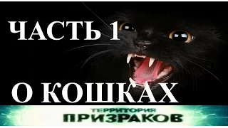 О кошках. Часть 01. Территория Призраков.  Серия 21.