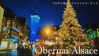 Christmas in Alsace, France (Christmas Market in Obernai ) /  Hot wine / Christmas light / wine /