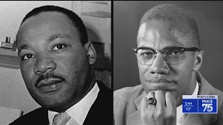 Author claims MLK's criticism of Malcolm X was not true