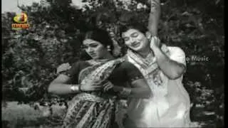 Cheeraku Ravikandamaa Song -  Athalu Kodallu Movie Songs - Krishna, Vanisri