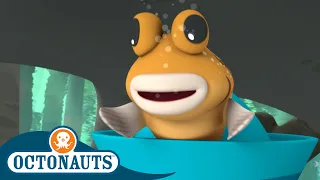 Octonauts - The Mudskippers | Cartoons for Kids | Underwater Sea Education