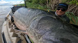 GIGANTE COBRIU O CAIAQUE, MESMO VENDO NÃO DA PRA ACREDITAR! Pirarucu do Rio Madeira.