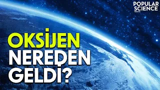 Oksijen Nereden Geldi? | Popular Science Türkiye