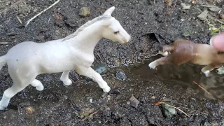 A-day in the life of a schleich  horse  herd