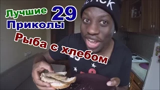 ЛУЧШИЕ Приколы Февраль/Рыба с хлебом (№29)