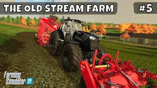 Fertilizing, Harvesting Sugar beet and Corn | The Old Stream Farm #5 | Farming Simulator 22