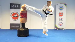 Taekwondo Kicking Tornado Sampler 🌪 on Century BOB