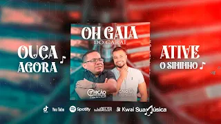 Oh Gaia do Carai - Chicão dos teclados ft Caio Costa