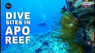 UNTV: The Dive | Breathtaking dive sites in Apo Reef