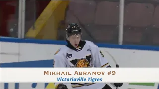 Mikhail Abramov Highlights | Victoriaville Tigres #9 | 2019/20