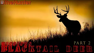 ♢ theHunter Classic ♢ Blacktail deer missions ♢ Миссии на колумбийского оленя ♢ part 2♢