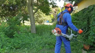 Itt találtam a láncfűrészeket az első nyírásnál. Nézzük, hogy sikerült kitisztítani a telket.